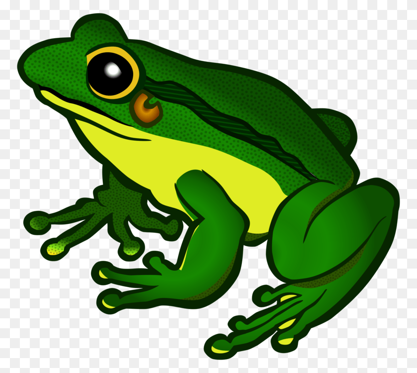 The Tree Frog Amphibian Animal, Wildlife, Tree Frog, Fish Sticker PNG
