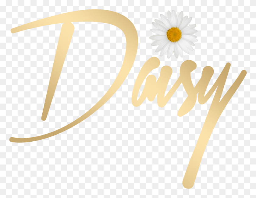 2409x1825 The Unfiltered Opinions Of A Influencer African Daisy, Label, Text, Plant HD PNG Download