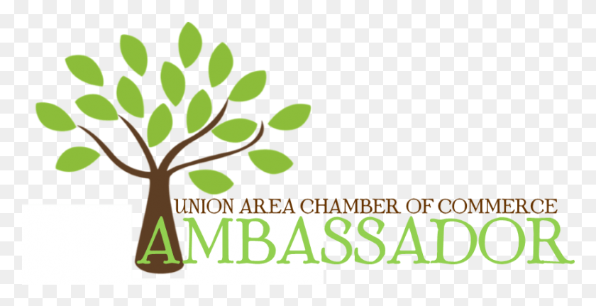 868x413 The Union Chamber Ambassador Program Provides A Mutually Graphic Design, Plant, Tree, Leaf HD PNG Download