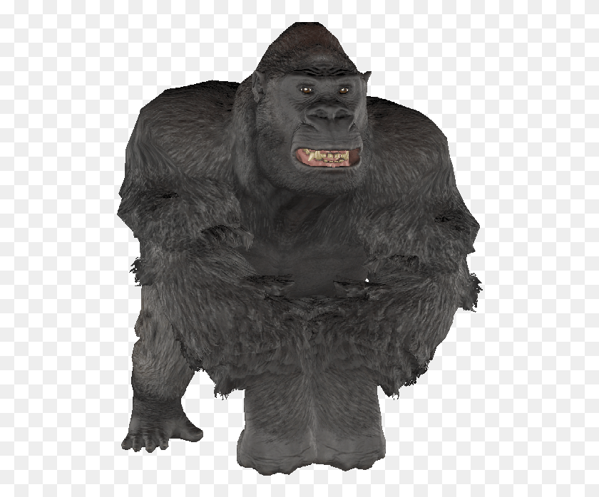 514x638 The Vault Fallout Wiki Fallout 4 Gorilla, Ape, Wildlife, Mammal HD PNG Download