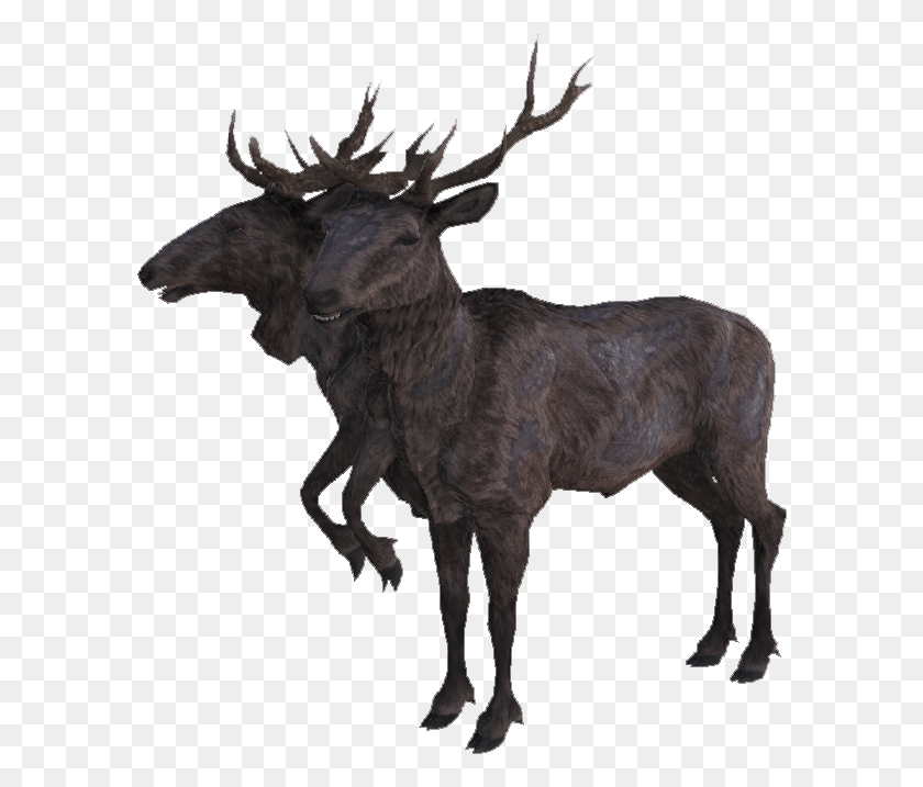 592x657 The Vault Fallout Wiki Radstag Doe, Antelope, Wildlife, Mammal HD PNG Download
