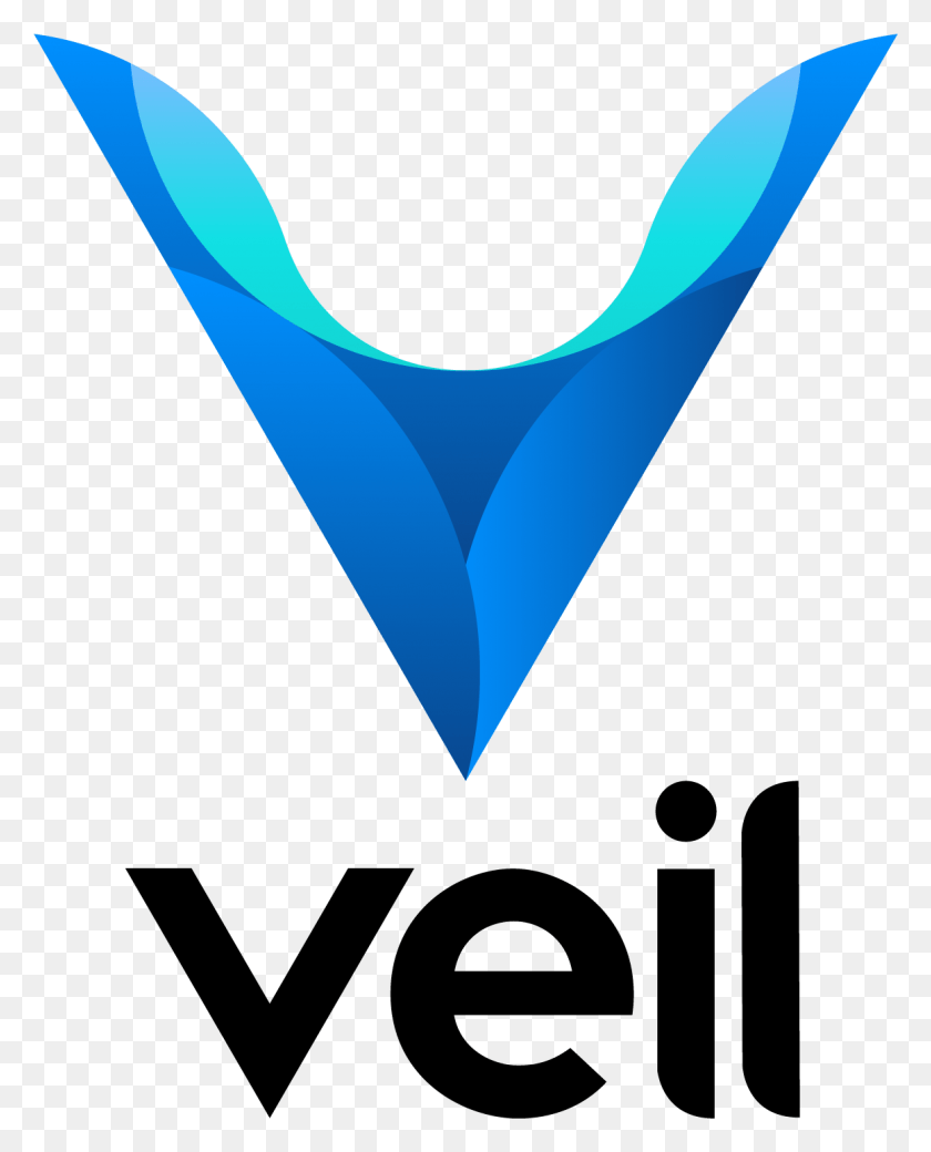 1161x1460 The Veil Project Veil Project, Triangle, Label, Text HD PNG Download