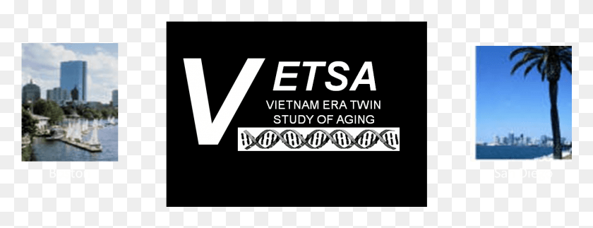 1426x482 The Vietnam Era Twin Study Of Aging Is A Set Of Longitudinal Poster, Text, Label, Alphabet HD PNG Download