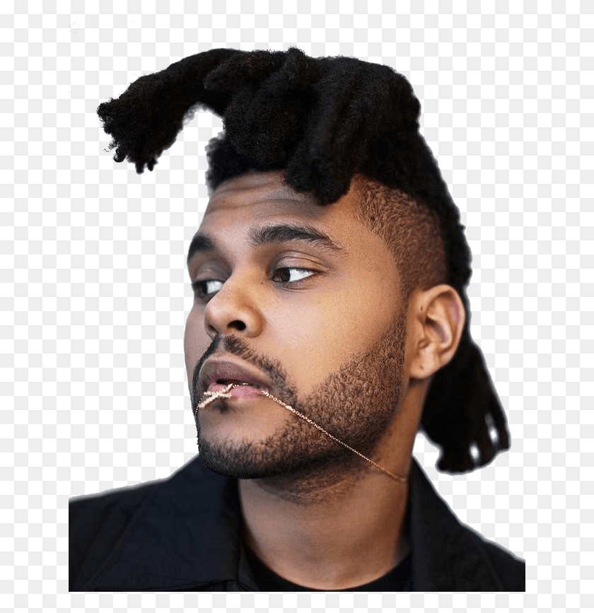 646x807 The Weeknd Daniel Roche Weeknd, Face, Person, Human HD PNG Download