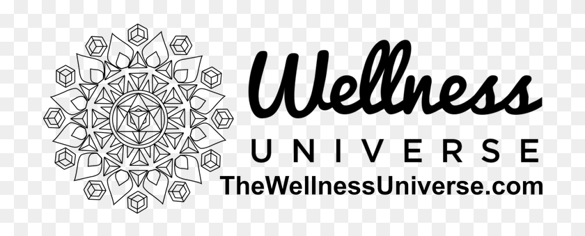 724x279 The Wellness Universe Circle, Gray, World Of Warcraft HD PNG Download