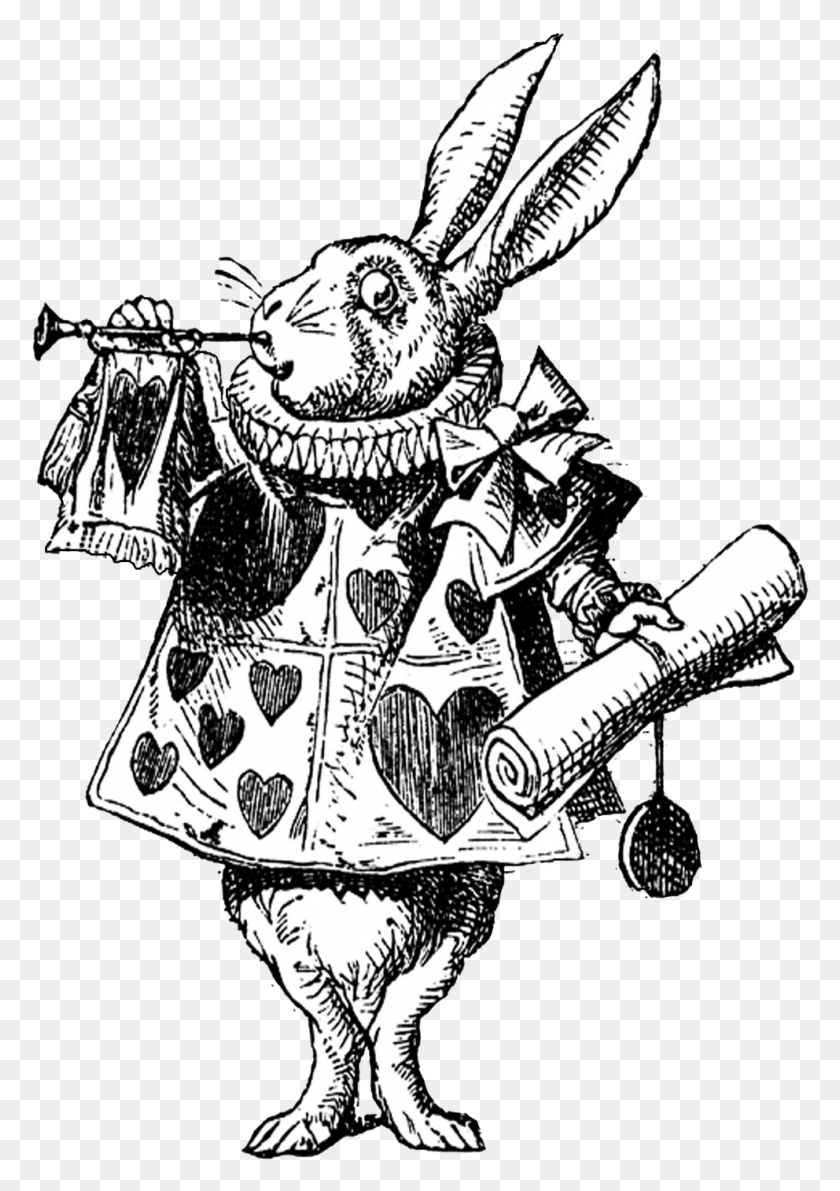 992x1439 Белый Кролик С Трубой В Одной Руке И Белый Кролик Татуировка Алиса В Стране Чудес, Рыцарь, Каракули Png Скачать
