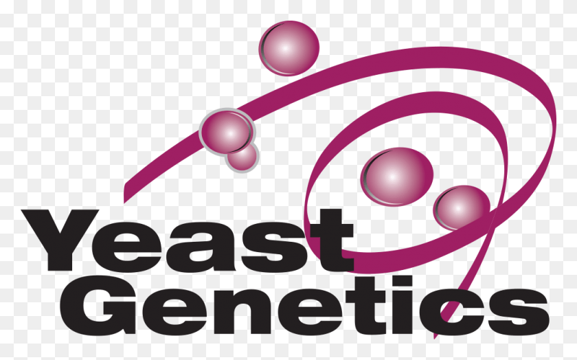 987x588 Descargar Png / The Yeast Genetics Meeting, Resumen, Fecha Límite De Presentación, Máquina Expendedora, Texto, Esfera, Gráficos Hd Png