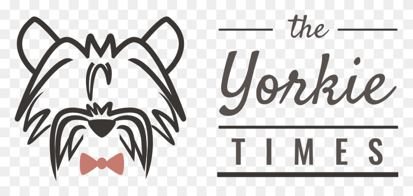 1183x516 The Yorkie Times, Text, Alphabet, Label HD PNG Download