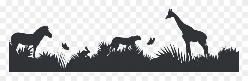 1801x499 The Zoo Continues To Grow Each Year And New Additions Silhouette, Mammal, Animal HD PNG Download