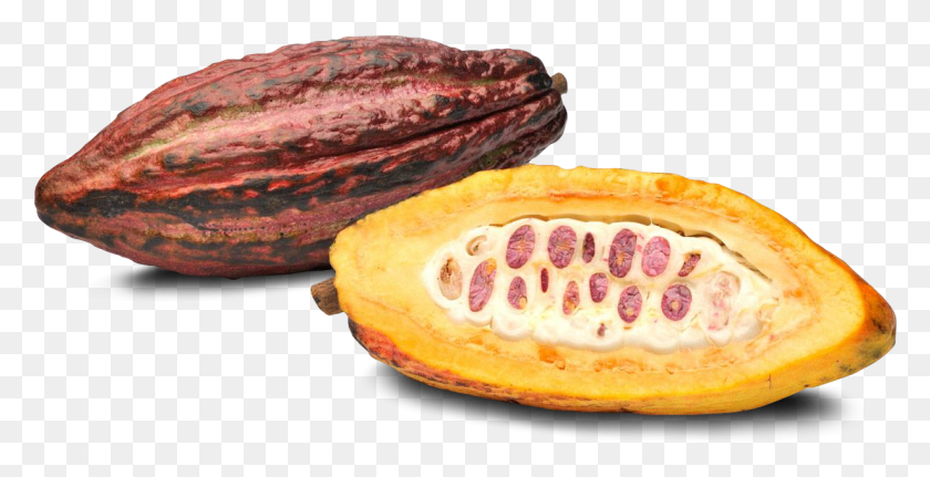1229x586 Then Imagine A Recipe It39s Like Writing A Story Cacao Fruit, Plant, Bread, Food HD PNG Download