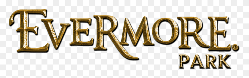 1200x318 There Has Been A Lot Of Talk About Evermore In The Bronze, Word, Alphabet, Text HD PNG Download