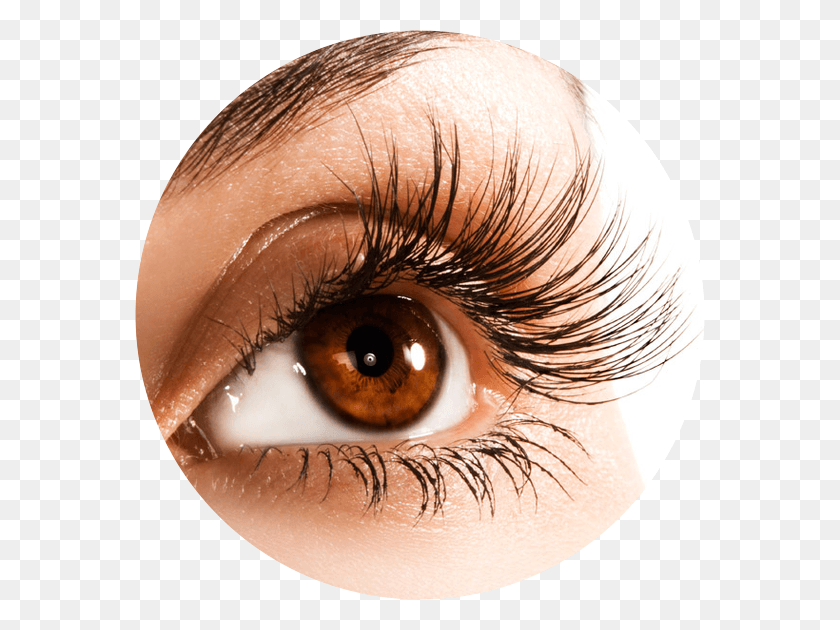 570x570 There Is A 20 Non Refundable Deposit Required Upon Parts Of Body Eye, Contact Lens, Person, Human HD PNG Download