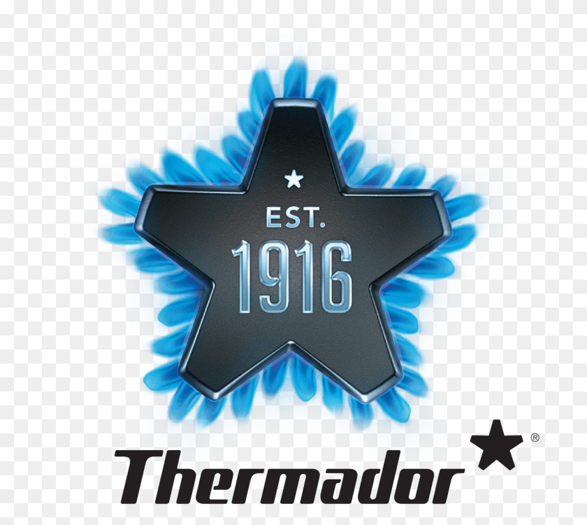 1306x1158 Thermador 100th Anniversary Logo Thermador Appliances Logo, Symbol, Trademark, Badge HD PNG Download