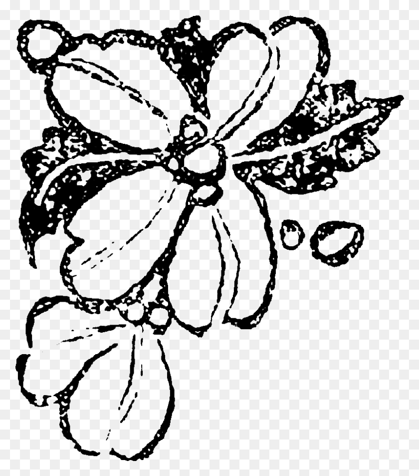 798x914 These Digital Flower Illustrations Can Be Used To Create Illustration, Snowflake, Outer Space, Astronomy HD PNG Download