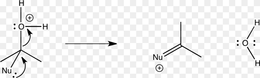 These Steps Occur Over And Over Inching The Molecule, Gray Sticker PNG