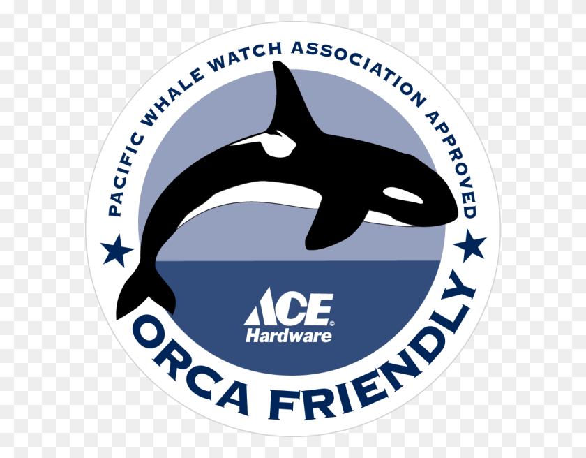 596x596 They Knew They Weren39t Going To Go Out And Shut Down Killer Whale, Label, Text, Orca HD PNG Download