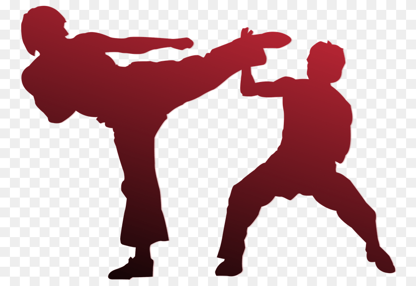 Think Your Children Should Learn Self Defense, Baby, Person, Martial Arts, Sport Sticker PNG