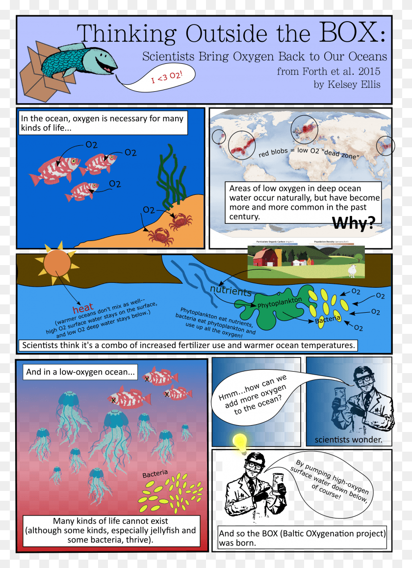2447x3443 Thinking Outside The Box Marine Science Comic, Comics, Book, Person HD PNG Download