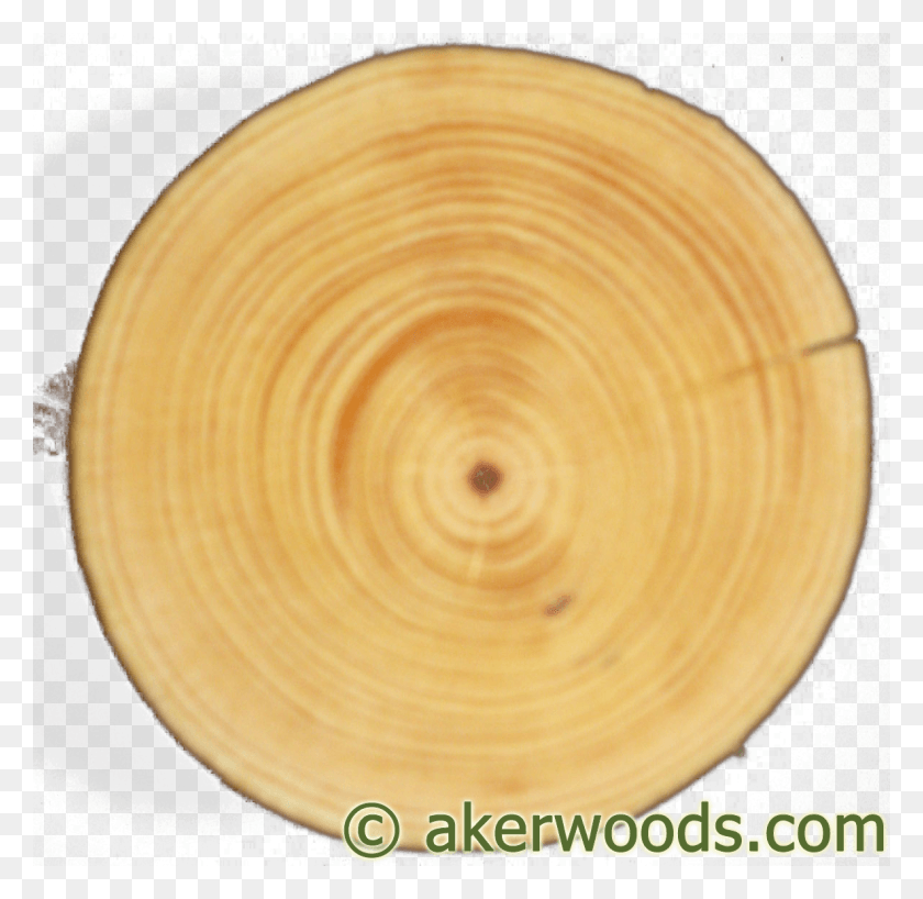 1184x1152 This 4 Diameter Ponderosa Post Is From A Tree Around Tree Cookie Wood, Plywood, Lamp, Bowl HD PNG Download