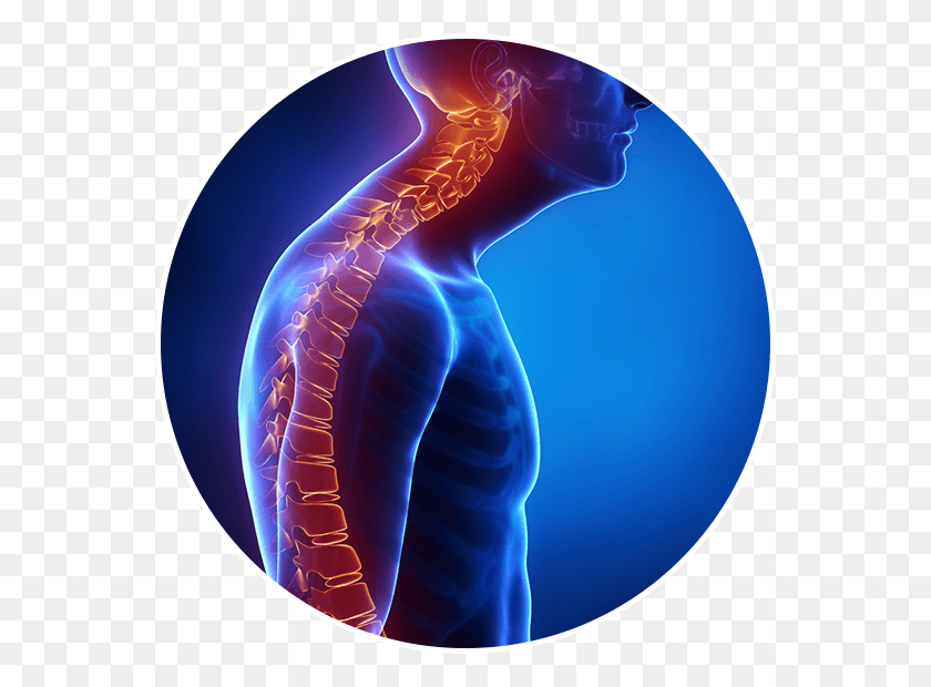 560x560 This Abnormal Curvature Of The Spine Can Cause Spinal Postural Kyphosis, X-ray, Ct Scan, Medical Imaging X-ray Film HD PNG Download