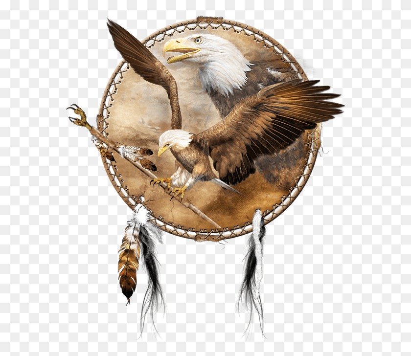 574x668 This Artwork Of Two Bald Eagles Within A Dream Catcher Dream Catcher Spirit Of The Red Fox, Eagle, Bird, Animal HD PNG Download