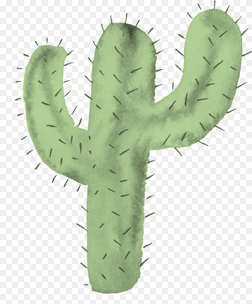 1024x1235 This Backgrounds Is Sturdy Cactus Cartoon Cactus Background, Plant Clipart PNG