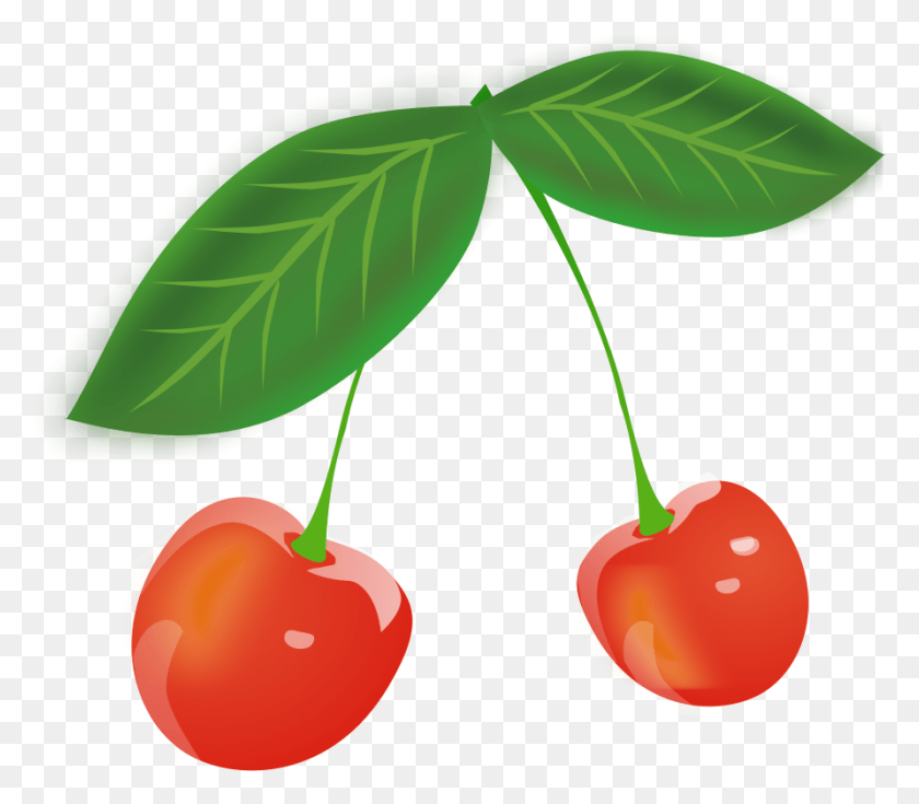 892x772 This Free Clip Arts Design Of Cherry Cherry Leaves Clipart, Plant, Fruit, Food HD PNG Download