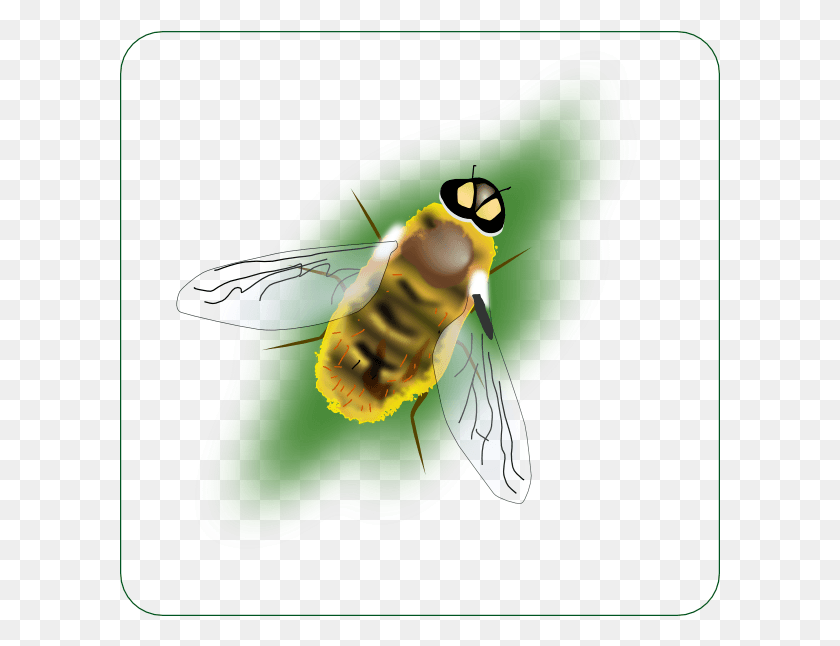 601x586 This Free Clip Arts Design Of Digital Bee Art Abeja Clipart, Apidae, Insecto, Invertebrado Hd Png Descargar