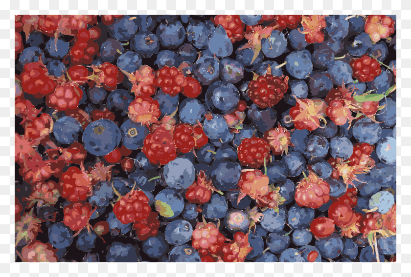 2400x1566 This Free Icons Design Of Alaska Wild Berries Blue Berry In Alaska, Blueberry, Fruit, Plant HD PNG Download