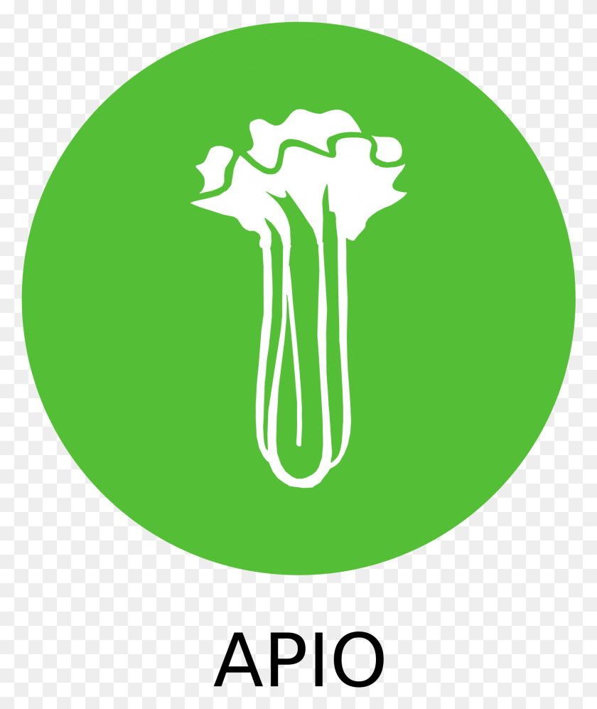 1488x1788 Этот Бесплатный Дизайн Иконок Alrgeno Apiocelery Simbolo Alergeno Apio, Растение, Теннисный Мяч, Теннис Hd Png Скачать