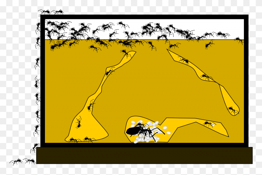 2400x1548 Descargar Png / Diseño De Iconos Gratis De Ant Farm Ant Farm Clipart, Avispa, Abeja, Insecto Hd Png