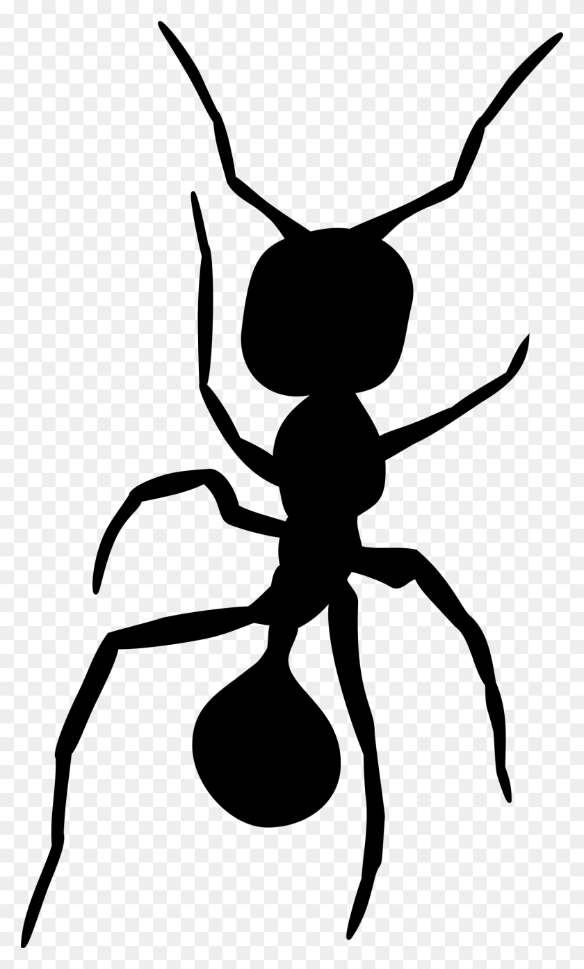 1404x2400 This Free Icons Design Of Ant Silhouette, Gray, World Of Warcraft HD PNG Download