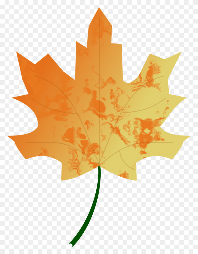 1714x2242 Этот Бесплатный Дизайн Иконок Осеннего Листа 5 Осенний Вектор, Растение, Дерево, Кленовый Лист Png Скачать