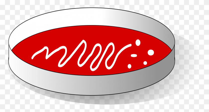 2334x1170 This Free Icons Design Of Blood Agar Plate With, Ketchup, Food, Logo HD PNG Download