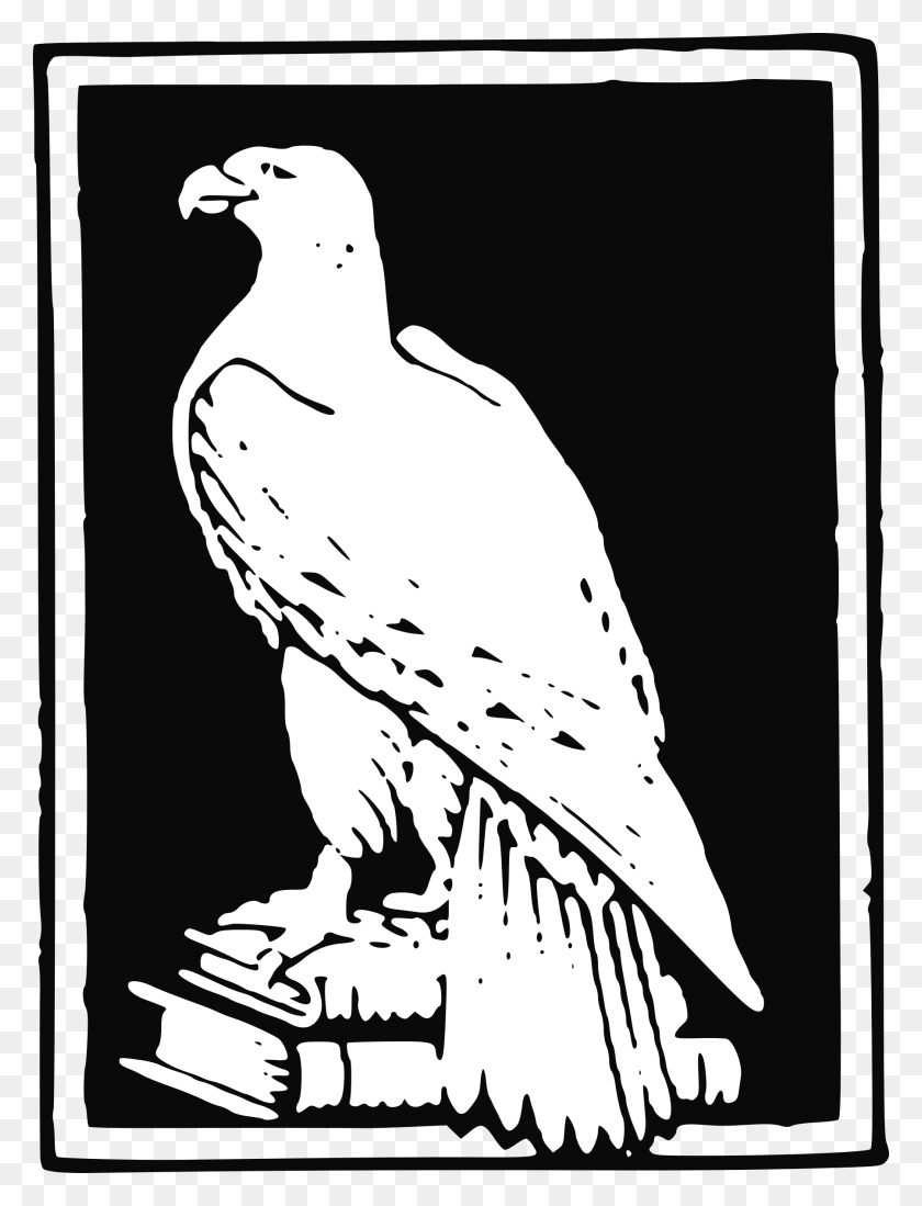1801x2400 Diseño De Iconos Gratis De Libro Águila, Aves, Animal, Paloma Hd Png