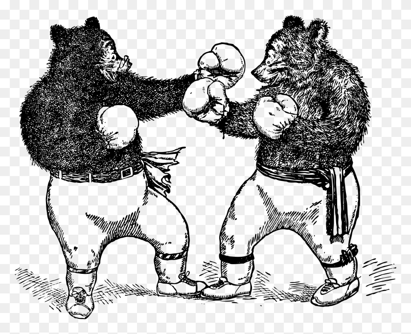 2354x1883 This Free Icons Design Of Boxing Bears Bear En Guantes De Boxeo, Grey, World Of Warcraft Hd Png