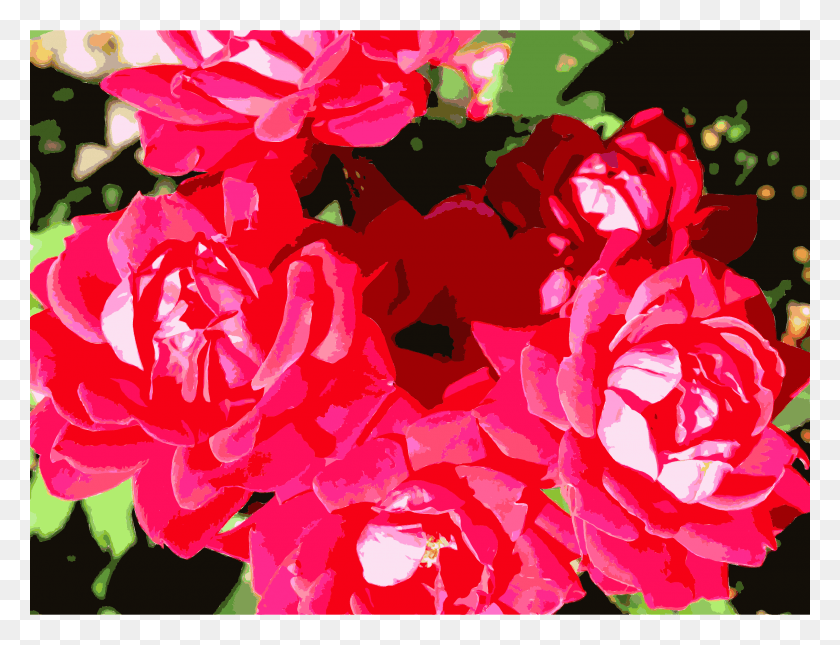 This Free Icons Design Of Bright Red Flowers, Plant, Geranium, Flower HD PNG Download