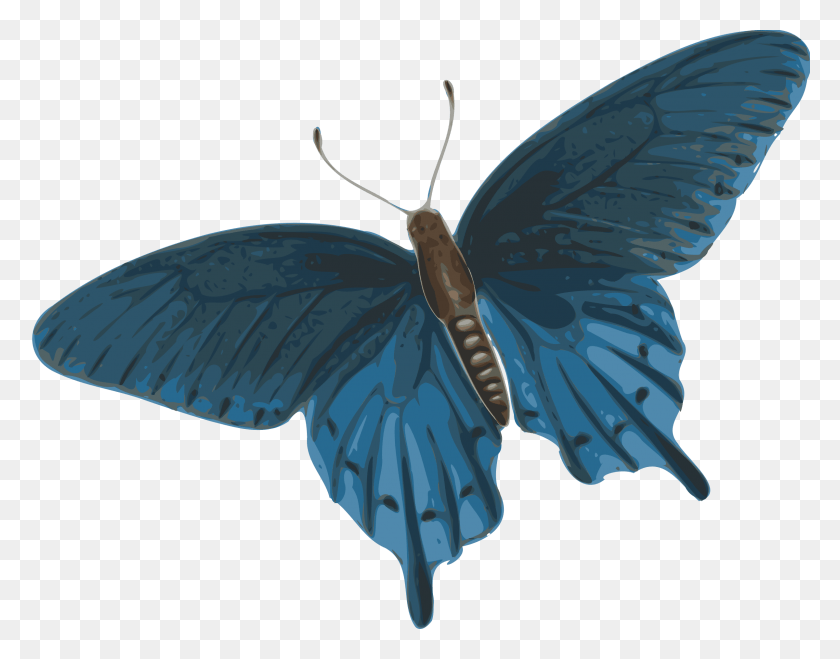 2400x1845 Este Diseño De Iconos Gratis De Mariposa, Insecto, Invertebrado, Animal Hd Png