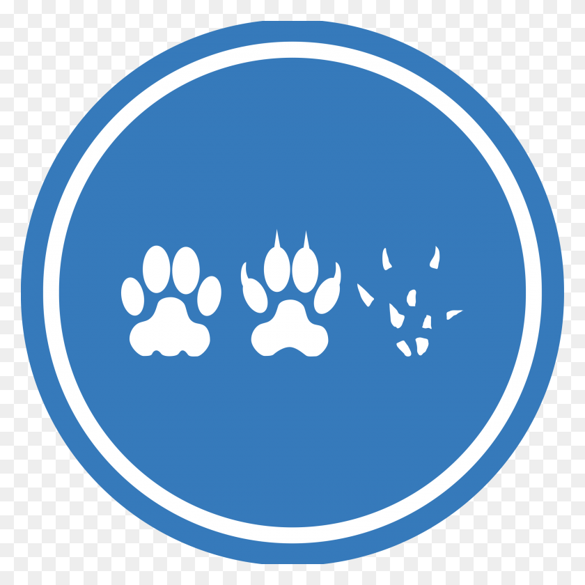 2400x2400 This Free Icons Design Of Cat Dog Mouse Unification, Moon, Outer Space, Night HD PNG Download