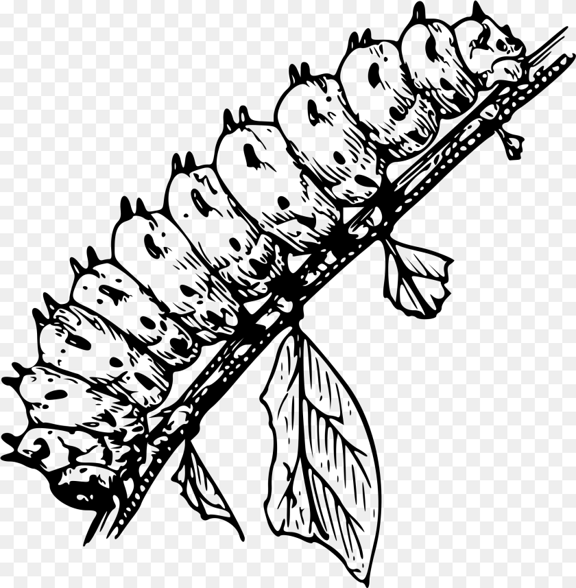2347x2395 This Icons Design Of Caterpillar, Gray Transparent PNG