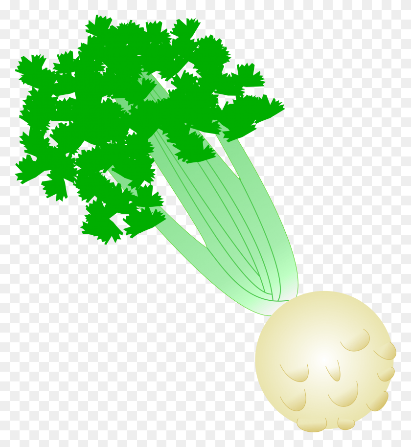2190x2400 This Free Icons Design Of Celery With Root, Plant, Produce, Food HD PNG Download