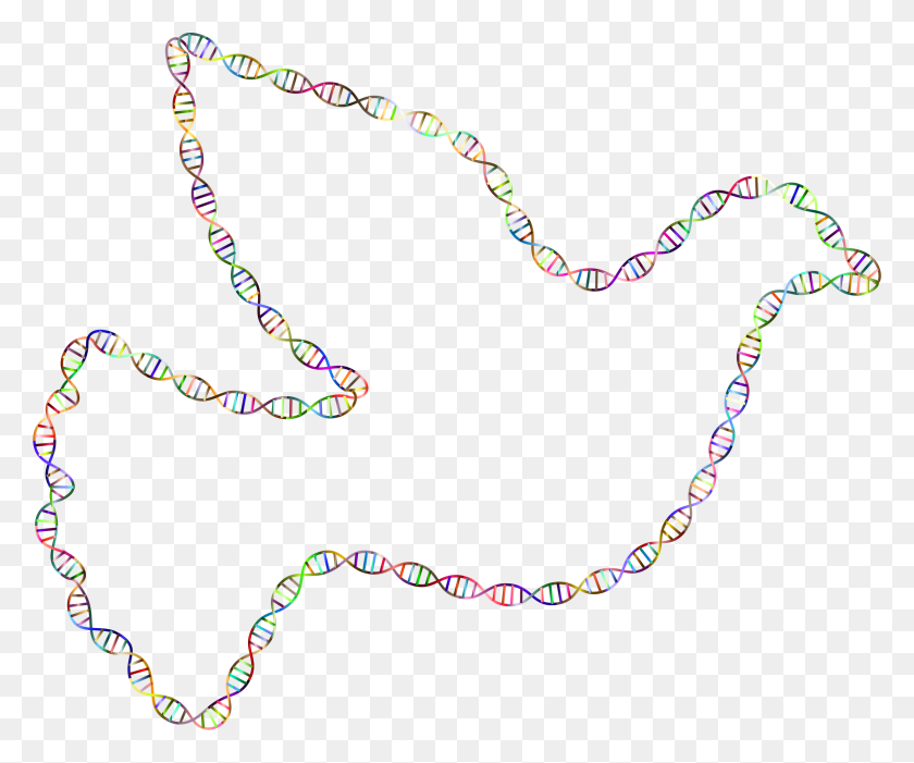 2344x1929 This Free Icons Design Of Chromatic Dna Helix Peace Illustration, Bead, Accessories, Accessory HD PNG Download