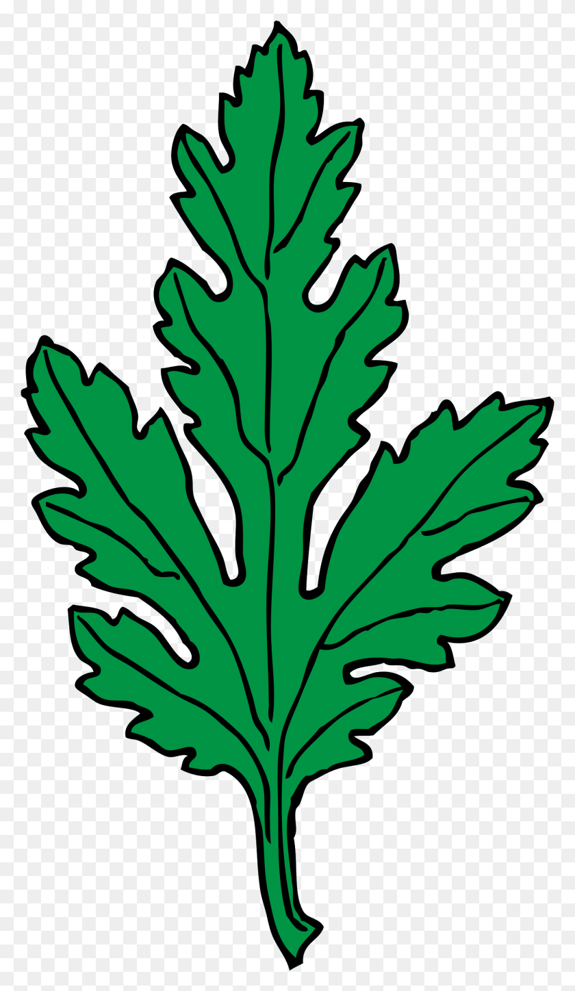 1348x2400 This Free Icons Design Of Chrysanthemum Leaf, Plant, Vase, Jar HD PNG Download