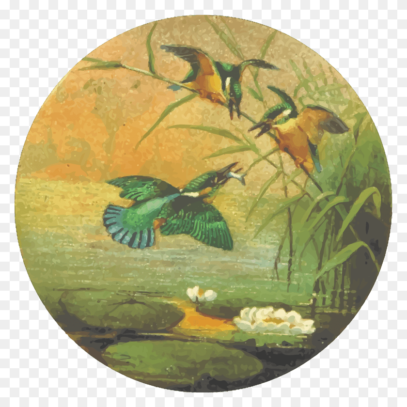2400x2400 This Free Icons Design Of Circular Kingfisher Drawing, Bird Descargar Hd Png