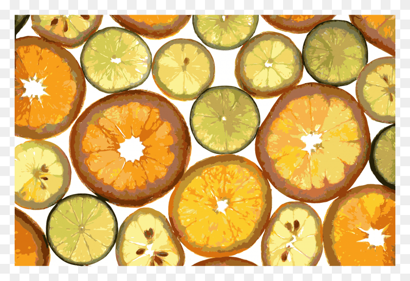 2400x1585 This Free Icons Design Of Citrus Fruits, Citrus Fruit, Fruit, Plant Hd Png Download
