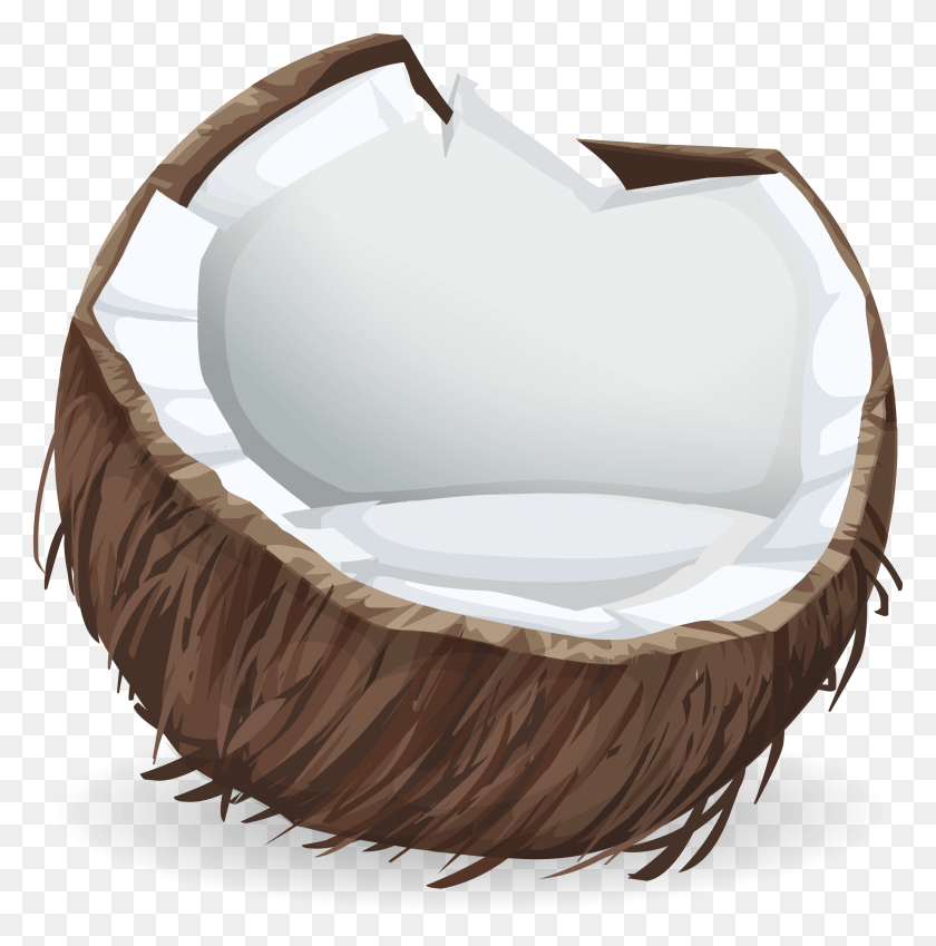 2372x2400 This Free Icons Design Of Coconut From Glitch, Plant, Nut, Vegetable HD PNG Download