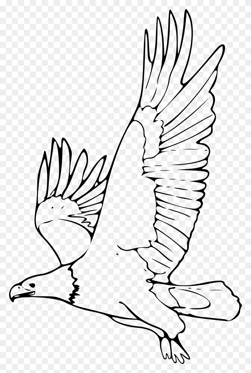 1402x2140 This Free Icons Design Of Coloring Book Bald Eagle, Gray, World Of Warcraft HD PNG Download