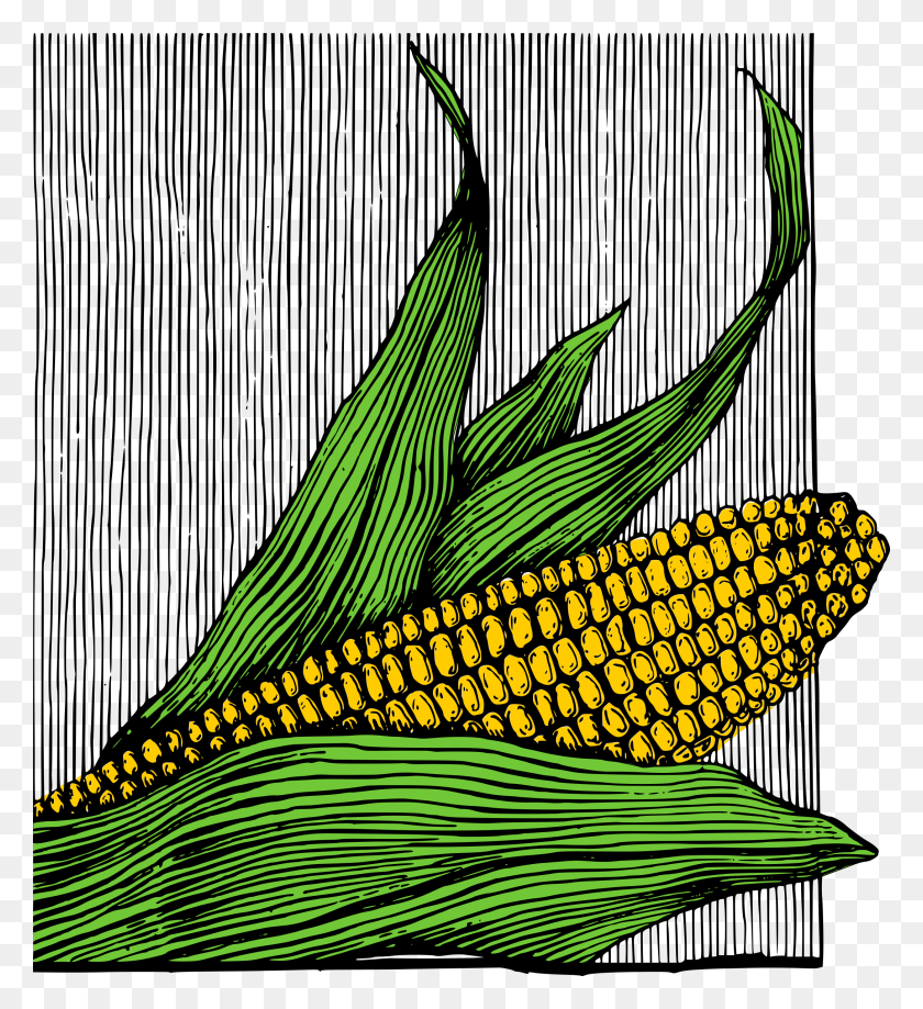 2177x2400 Кукуруза В Початках, Растения, Овощи, Еда Png Скачать