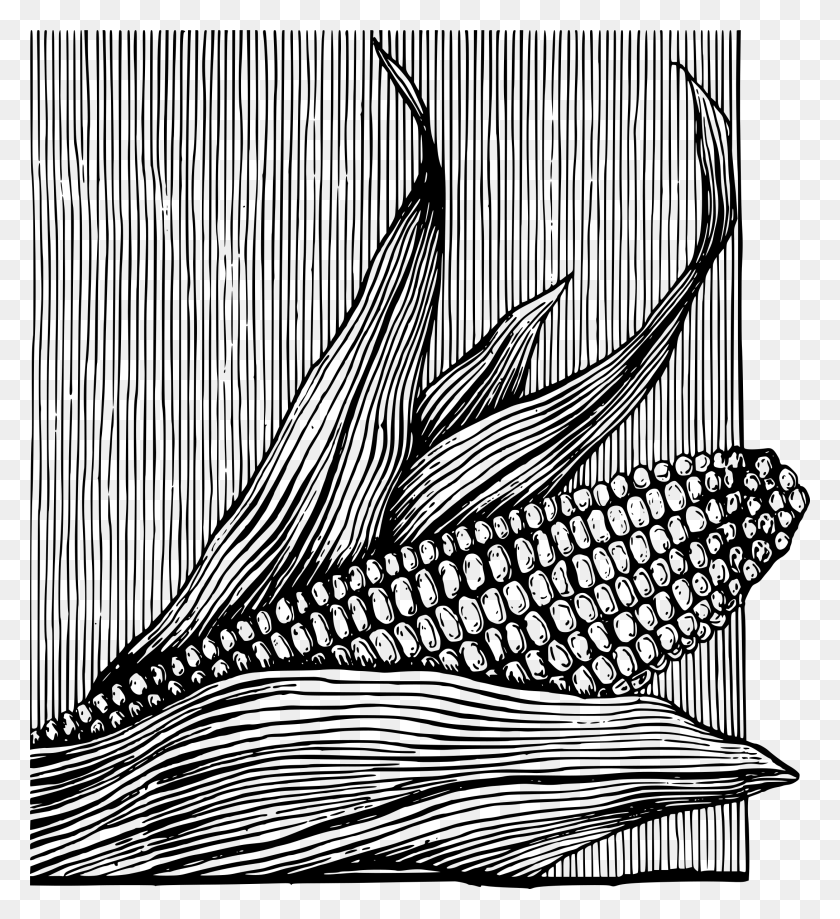 2177x2400 Этот Бесплатный Дизайн Иконок Кукурузы На Початках Ilustracion Maiz Blanco Y Negro, Серый, Мир Варкрафта Png Скачать