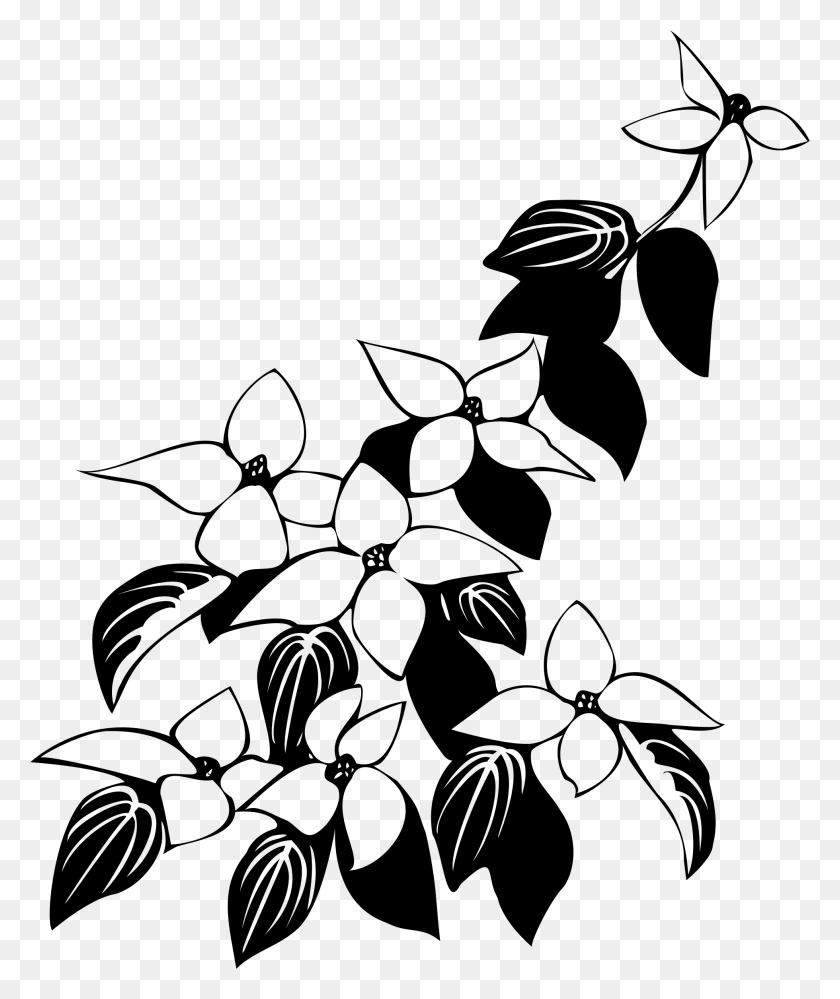 1960x2362 This Free Icons Design Of Cornus Kousa Flowers Leaves Black And White, Gray, World Of Warcraft HD PNG Download
